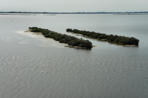 strada delle valli di Rosolina laguna di Caleri