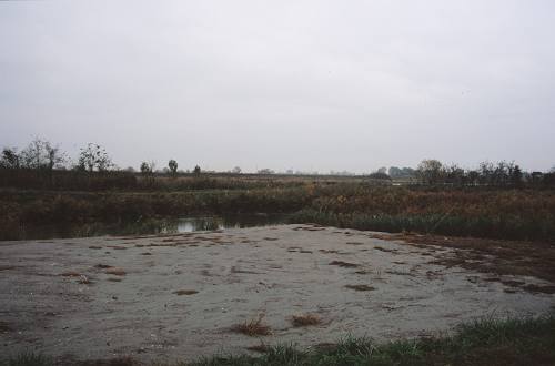 argini verso la laguna