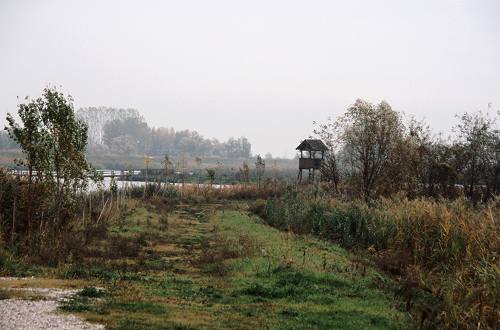 argini verso la laguna