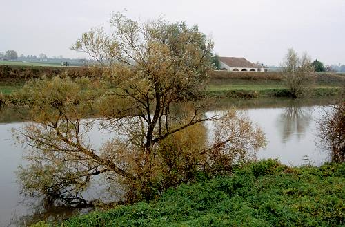 argini verso la laguna