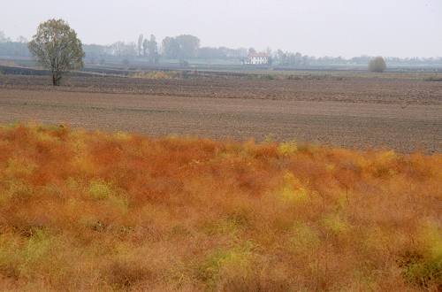 argini verso la laguna