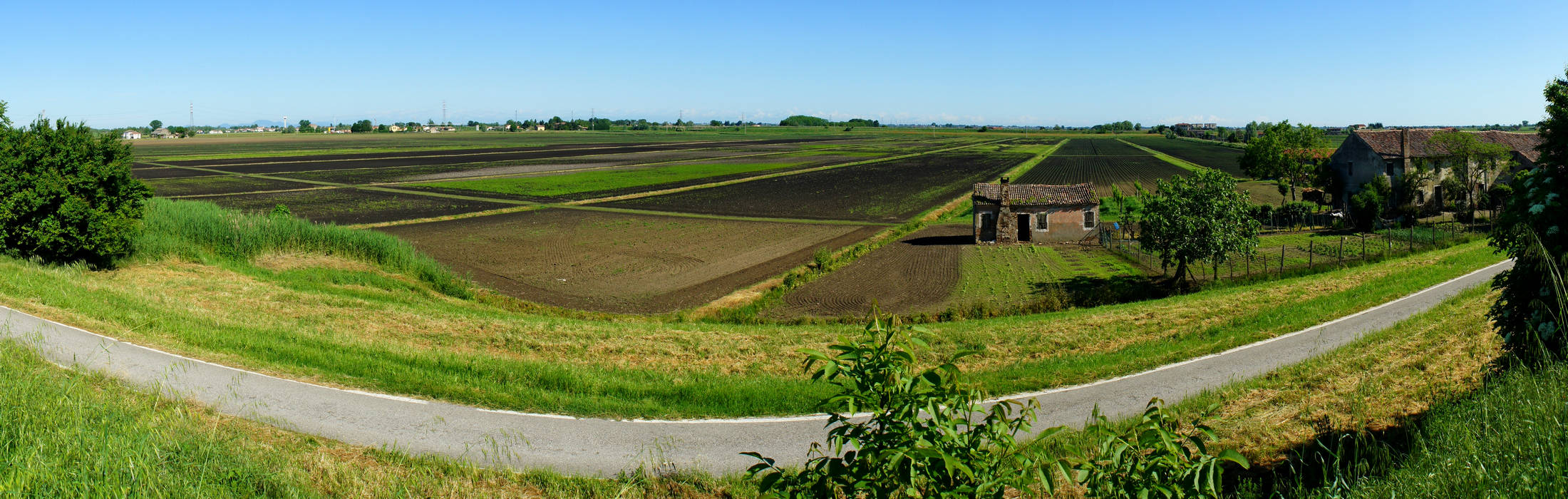 Boscochiaro di Cavarzere