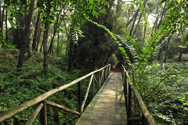 Giardino Botanico Litoraneo di POrto Caleri a Rosolina Mare