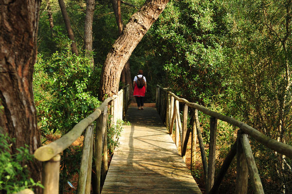 Giardino Botanico Litoraneo di POrto Caleri a Rosolina Mare