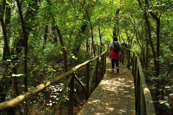Giardino Botanico Litoraneo di POrto Caleri a Rosolina Mare