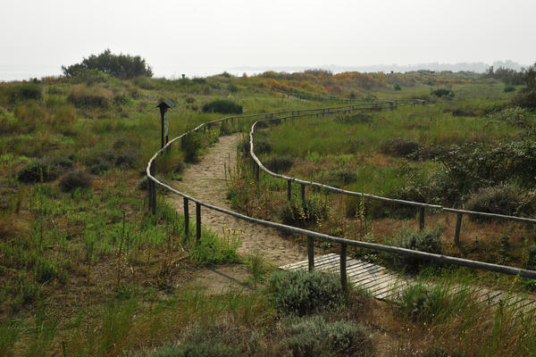 Giardino Botanico Litoraneo di POrto Caleri a Rosolina Mare