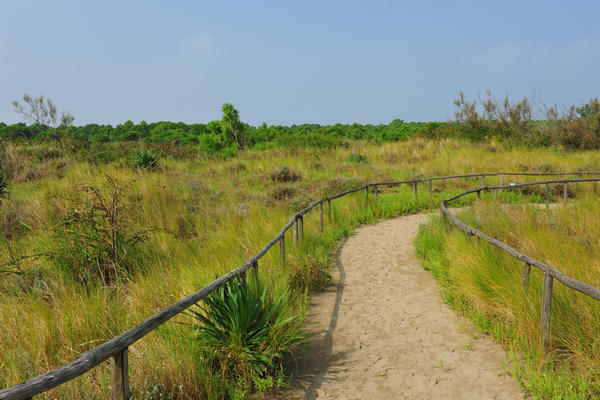 Giardino Botanico Litoraneo di POrto Caleri a Rosolina Mare