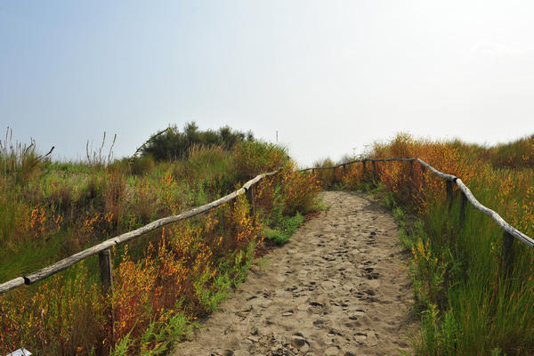 Giardino Botanico Litoraneo di POrto Caleri a Rosolina Mare