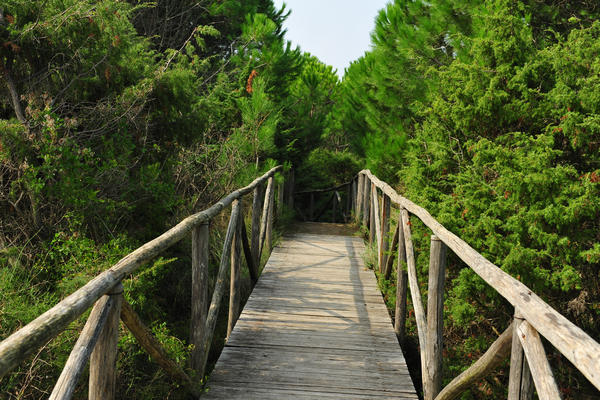 Giardino Botanico Litoraneo di POrto Caleri a Rosolina Mare