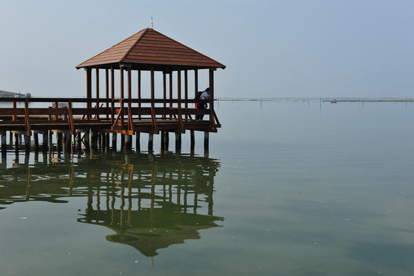 Giardino Botanico Litoraneo di POrto Caleri a Rosolina Mare