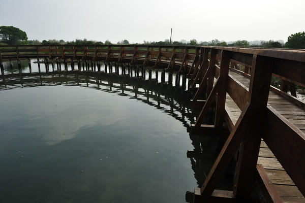 Giardino Botanico Litoraneo di POrto Caleri a Rosolina Mare