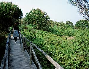 Giardino Botanico Litoraneo di Porto Caleri