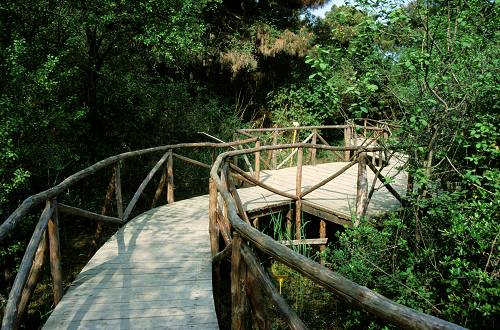 Giardino Botanico Litoraneo di Porto Caleri