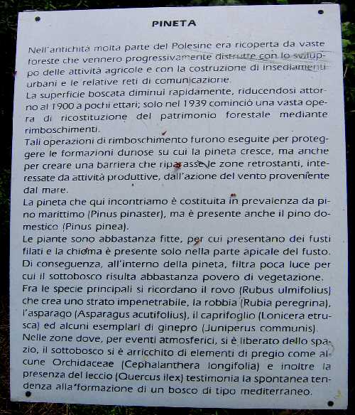 Giardino Botanico Litoraneo di Porto Caleri