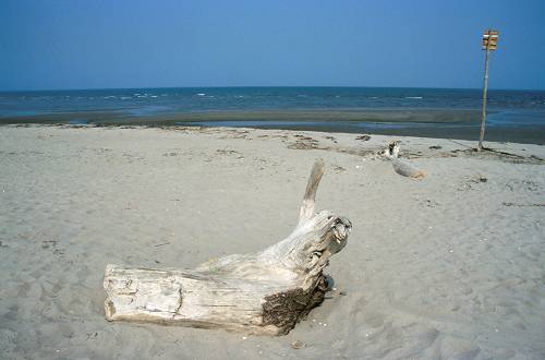spiaggia di Caleri
