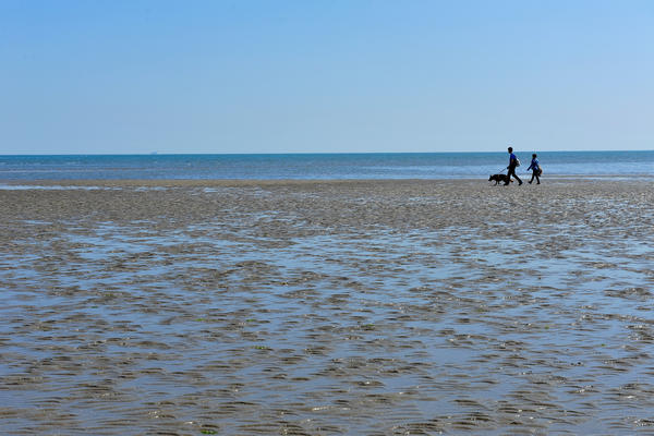 spiaggia di Rosolina Mare a Porto Caleri