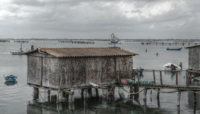 Sacca Scardovari, Porto Tolle