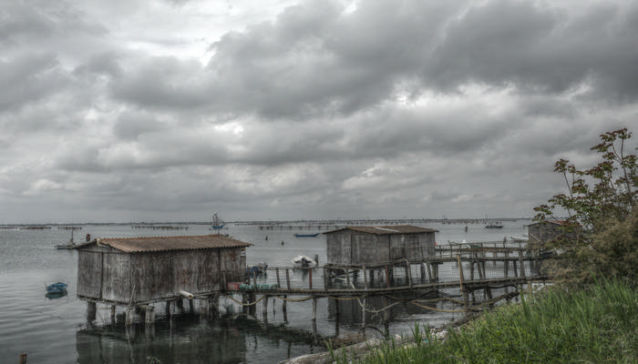 Sacca Scardovari, Porto Tolle