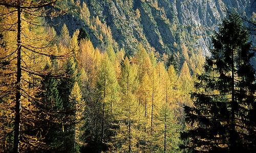 Civetta - Val Corpassa