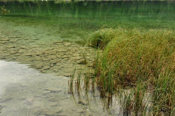 ToblacherSee, Lago di Dobbiaco