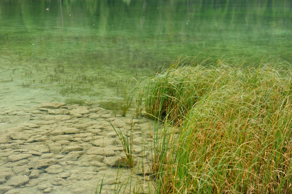 ToblacherSee, Lago di Dobbiaco
