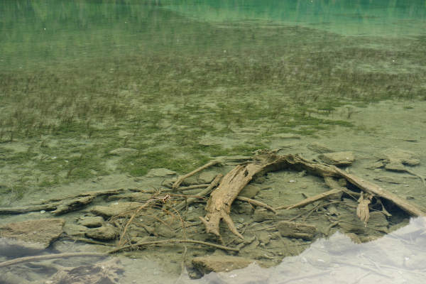 ToblacherSee, Lago di Dobbiaco