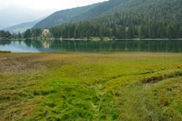 ToblacherSee, Lago di Dobbiaco
