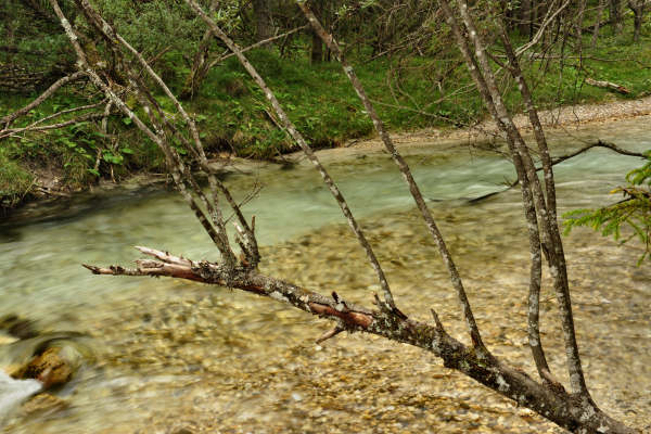 ToblacherSee, Lago di Dobbiaco