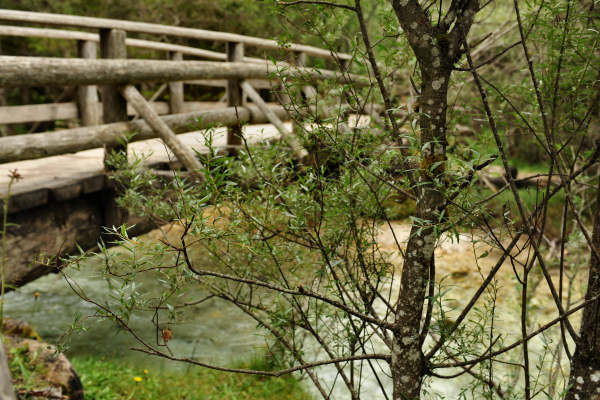 ToblacherSee, Lago di Dobbiaco
