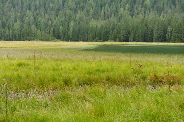 ToblacherSee, Lago di Dobbiaco