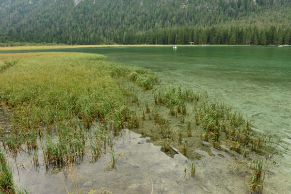 ToblacherSee, Lago di Dobbiaco