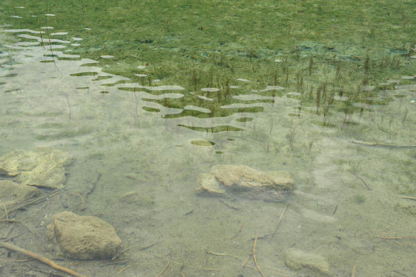 ToblacherSee, Lago di Dobbiaco
