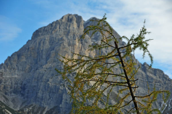escursione in Val Zemola, Cava Buscada casera Bedin rifugio Maniago al Duranno