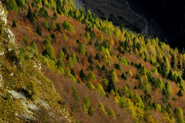 escursione in Val Zemola, Cava Buscada casera Bedin rifugio Maniago al Duranno