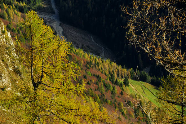 escursione in Val Zemola, Cava Buscada casera Bedin rifugio Maniago al Duranno