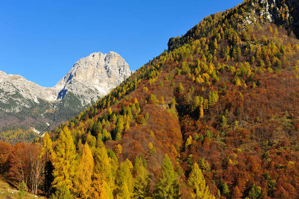 escursione in Val Zemola, Cava Buscada casera Bedin rifugio Maniago al Duranno