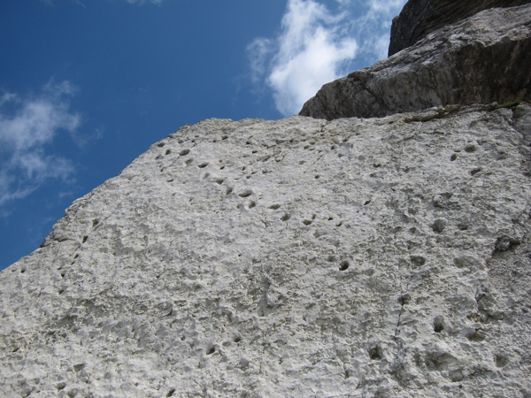 impronte di Dinosauri nel masso di frana al Pelmetto, Pelmo f.lla Staulanza