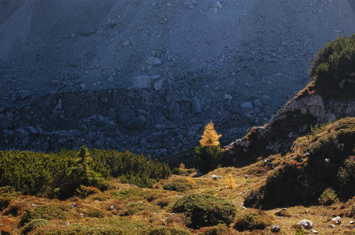 Dolomiti - escursione rifugio Tissi al monte Civetta