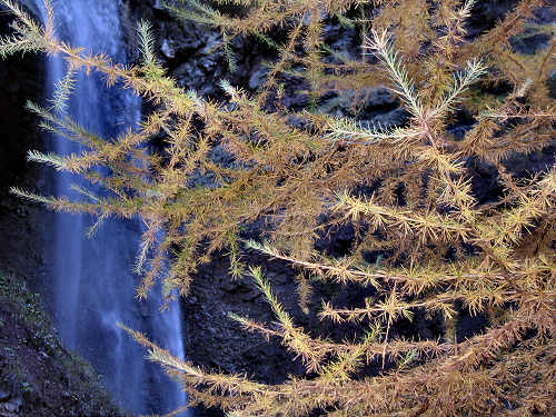 Cascata dell'Inferno - Col di Pra, Valle di San Lucano