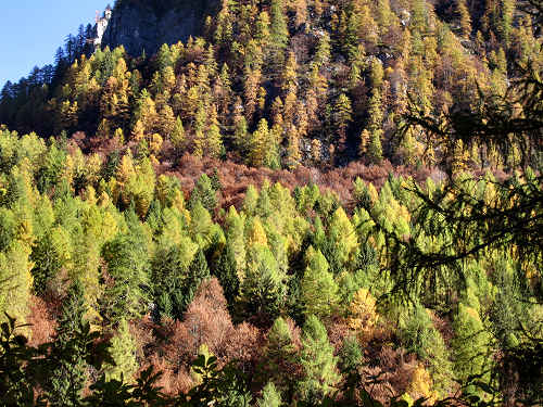 Pont, Col di Pra - Valle San Lucano, Dolomiti
