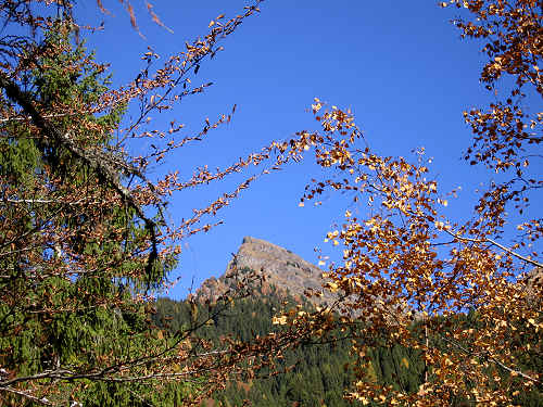 Pont, Col di Pra - Valle San Lucano, Dolomiti