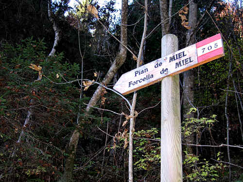 Pont, Col di Pra - Valle di San Lucano, Dolomiti