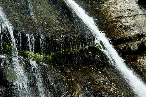 Pont, Col di Pra - Valle San Lucano, Dolomiti