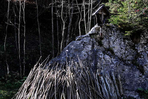 Pont, Col di Pra - Valle San Lucano, Dolomiti