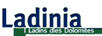 Ladinia, Ladins dles Dolomites