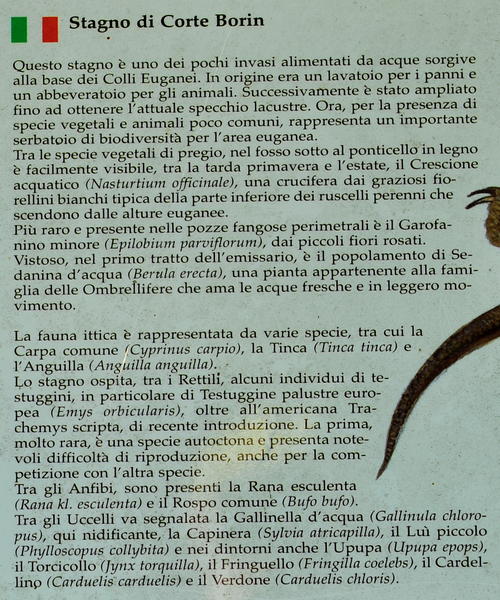 Stagno di Corte Borin al monte Calbarina, Arqua Petrarca