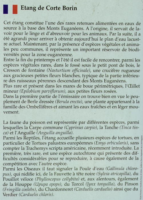 Stagno di Corte Borin al monte Calbarina, Arqua Petrarca