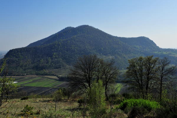 Arquà Petrarca monte Calbarina Stagno Corte Borin - Colli Euganei