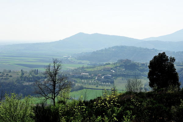Arquà Petrarca monte Calbarina Stagno Corte Borin - Colli Euganei