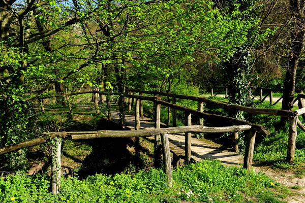 Arquà Petrarca monte Calbarina Stagno Corte Borin - Colli Euganei